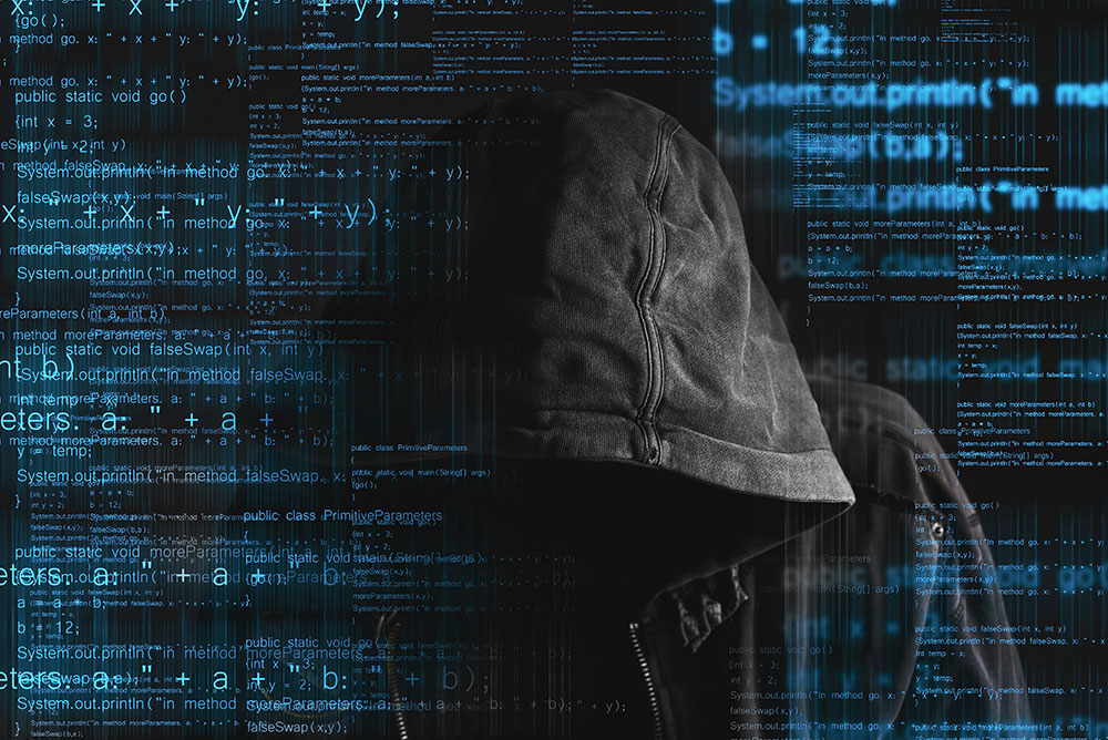 Botnet Mirai and largest Internet blackout